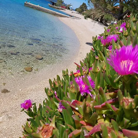 Daire Basada By The Sea - Perna, Peljesac - 4545 *