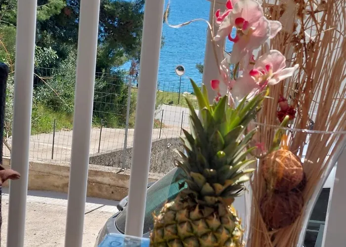 Basada By The Sea - Perna, Peljesac - 4545 Kučište