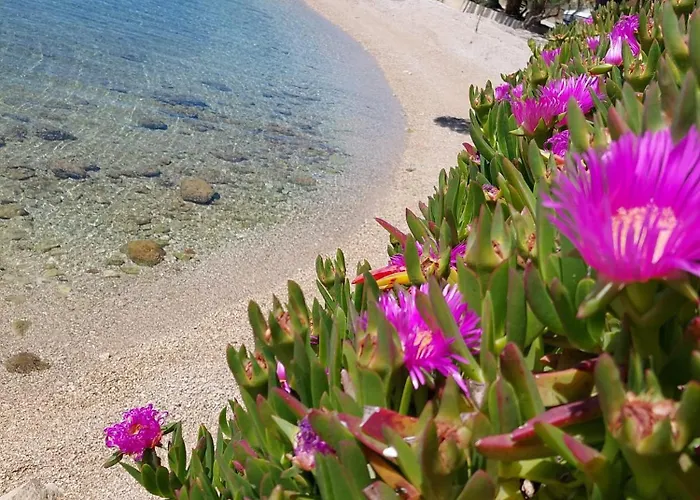 Apartman Basada By The Sea - Perna, Peljesac - 4545 *